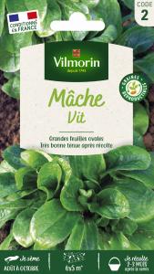 Mâche Vit